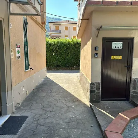 L'albicocco 斯培西亚